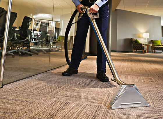 Chicago Carpet Cleaners team providing expert carpet cleaning in Lincolnwood and Lincoln Park