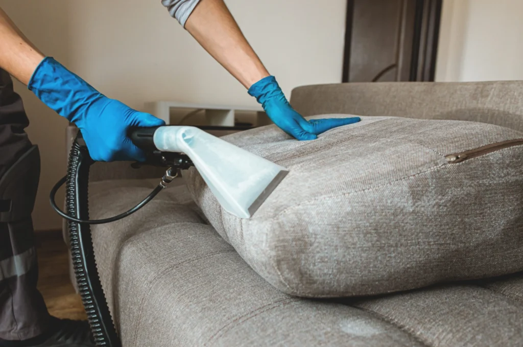 Chicago Carpet Cleaners team performing upholstery cleaning in Evanston