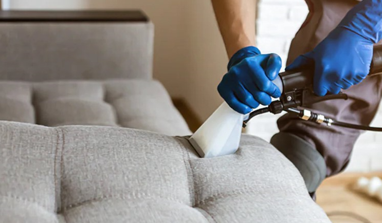 Chicago Carpet Cleaners team performing upholstery cleaning in Oak Park